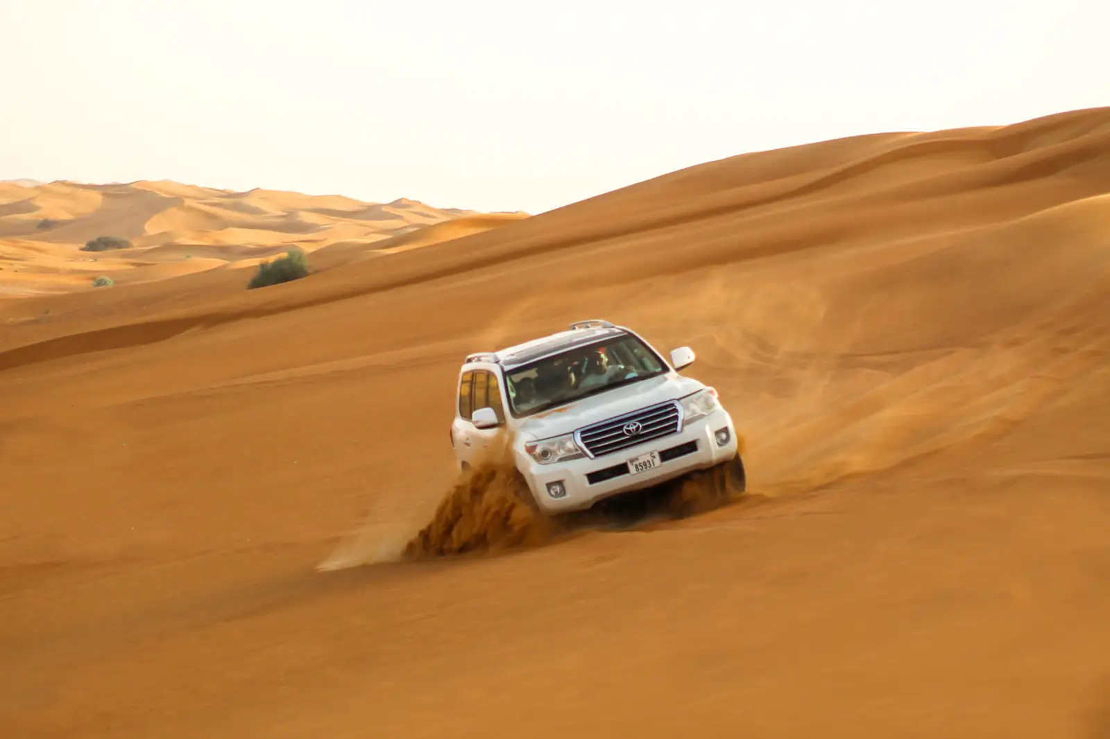 The White Desert