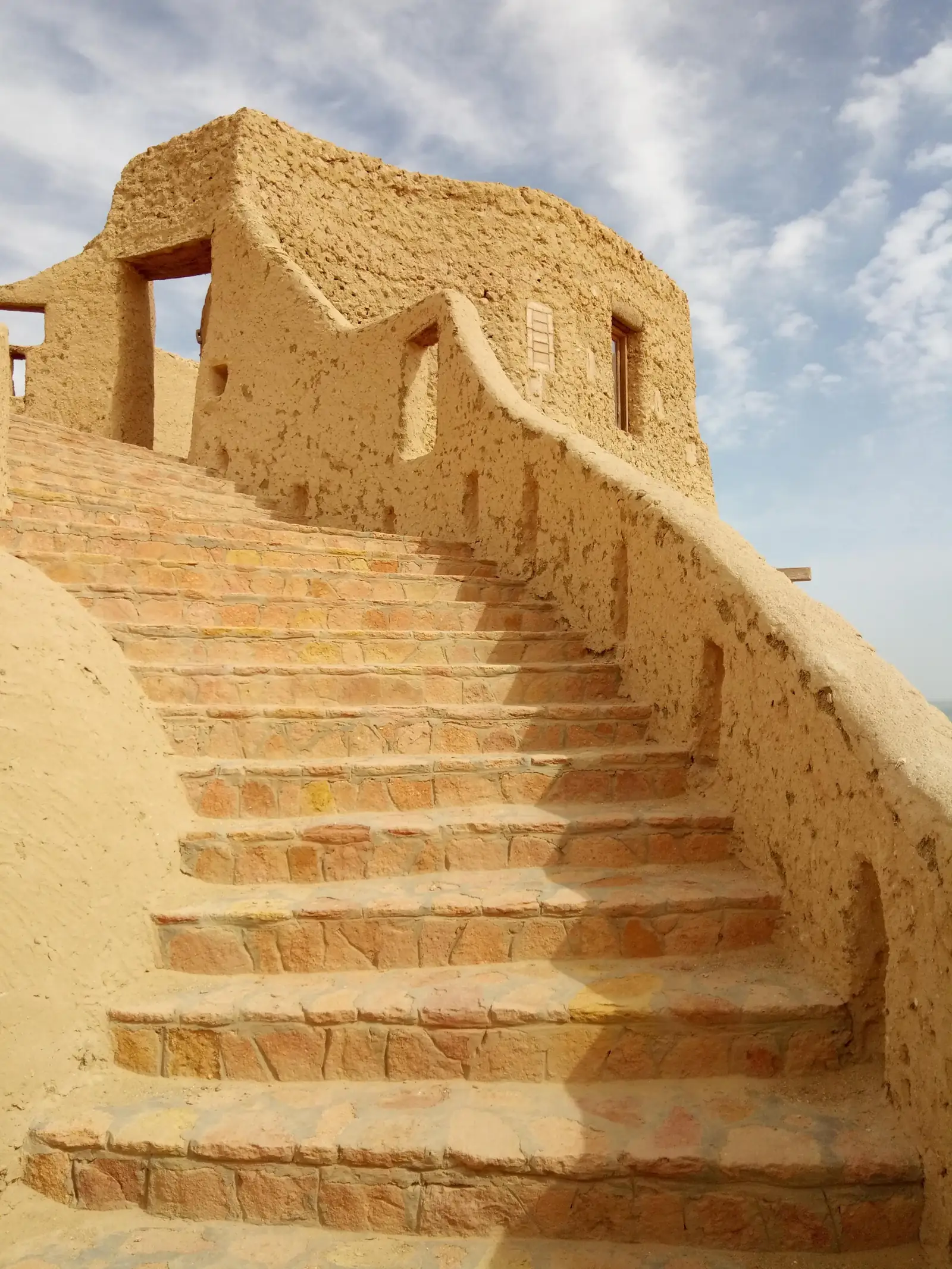 The White Desert