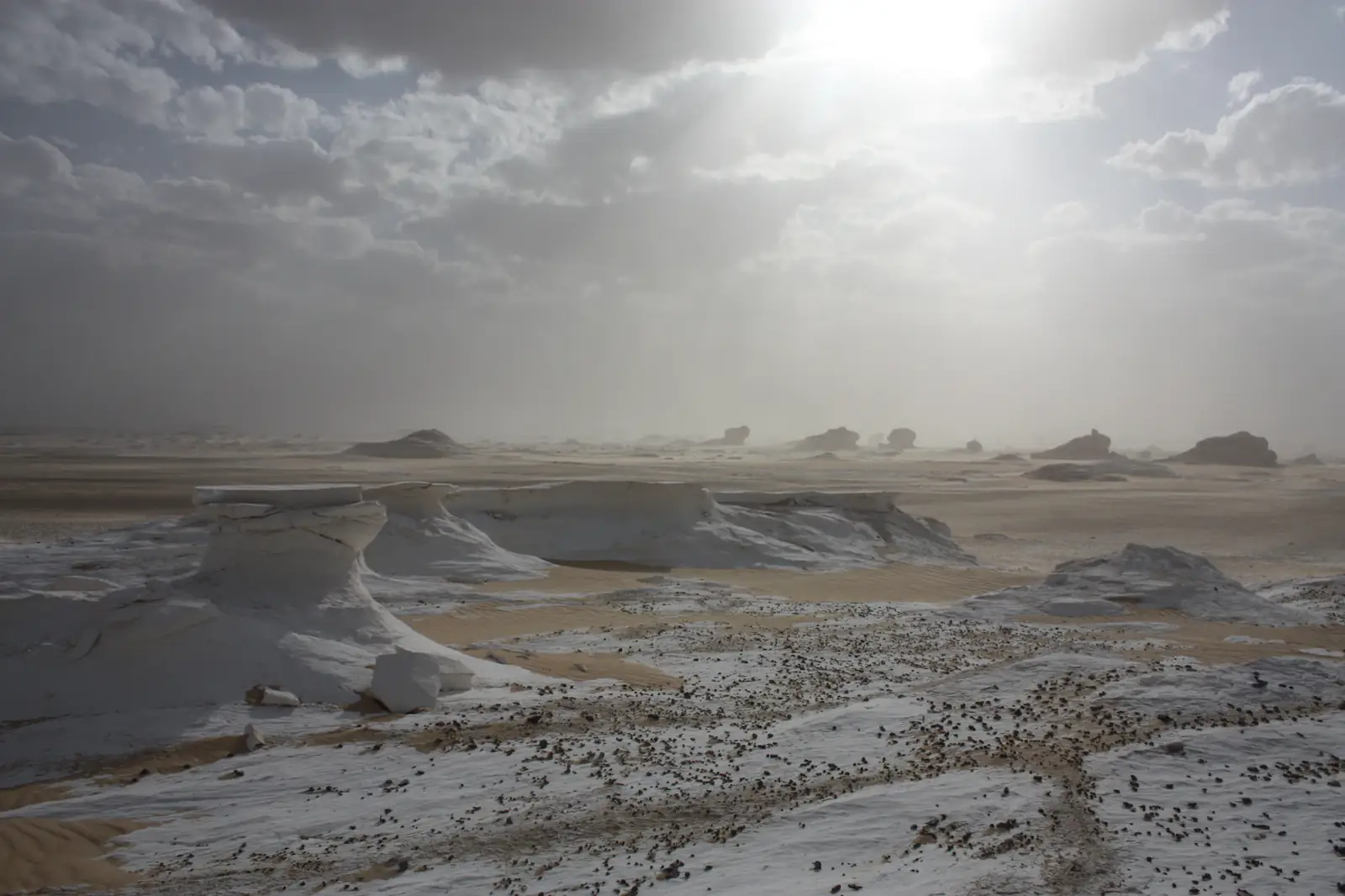 The White Desert